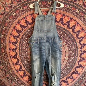Madewell Medium Wash Distressed Skinny Overalls